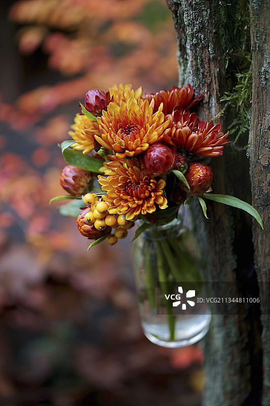 树上悬挂小瓶，瓶中装着菊花和永生花花苞图片素材