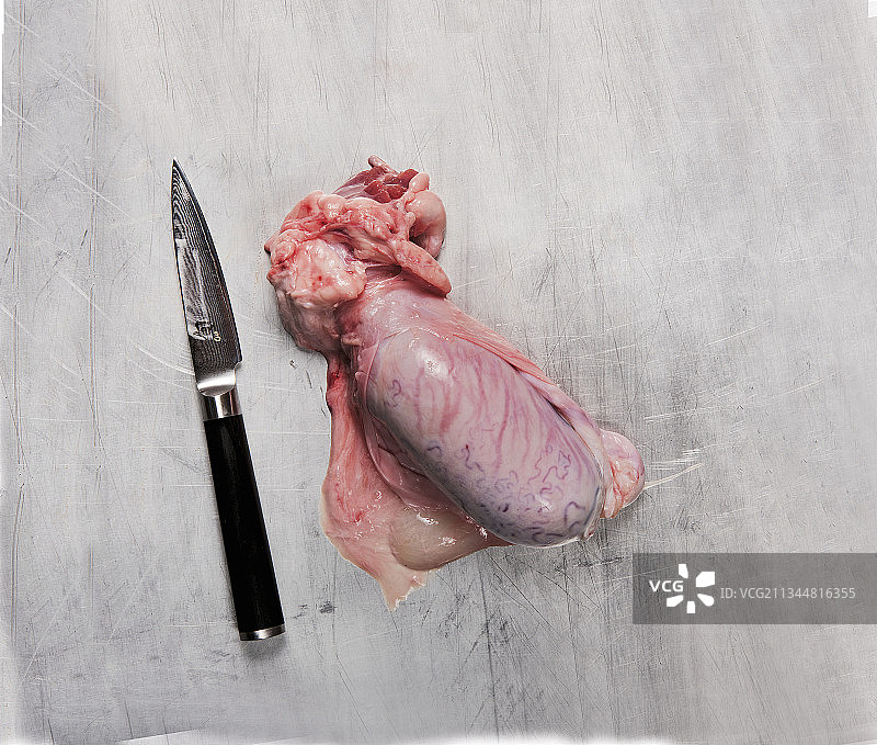 生牛睾丸图片素材