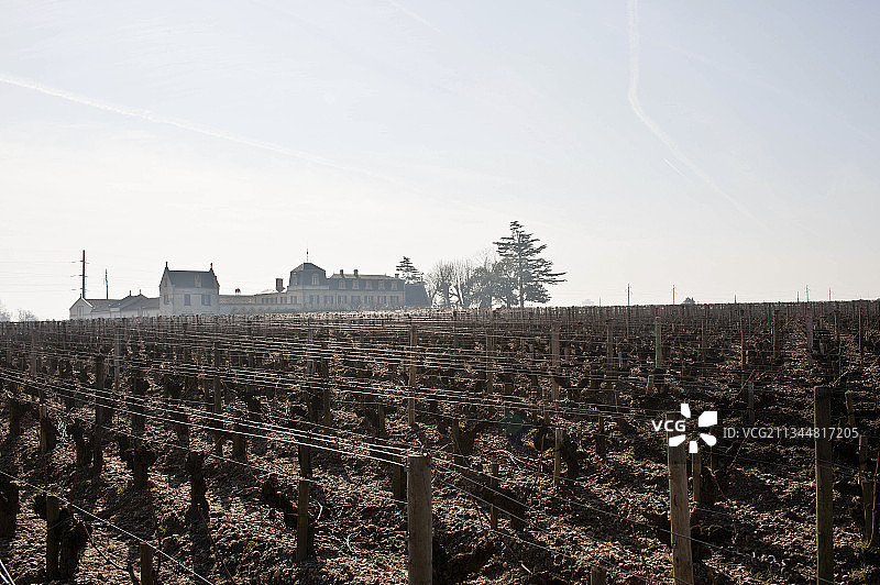 法国波尔多佩萨克-雷奥良奥-布里昂酒庄葡萄园景观图片素材