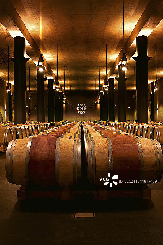 意大利托斯卡纳马雷玛蒙特维罗酒庄的酒窖图片素材