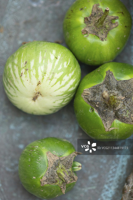 四个泰国茄子图片素材