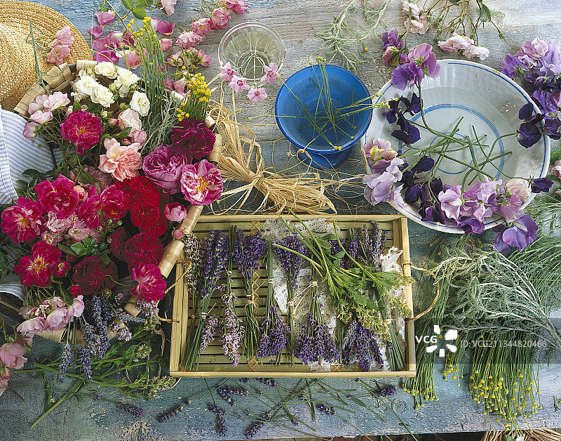 薰衣草、玫瑰、紫薇、棉花和康乃馨的香味图片素材