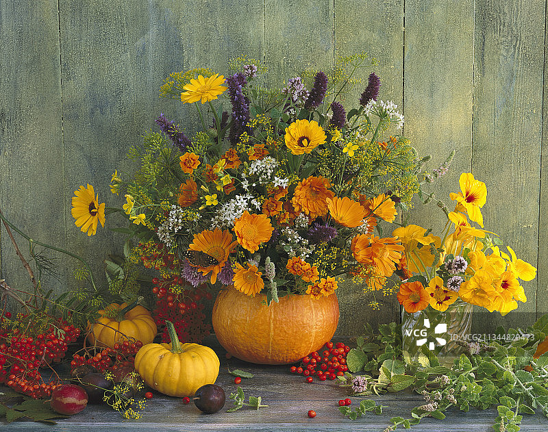 万寿菊、神香草、旱金莲、茴香和花楸浆果花束图片素材