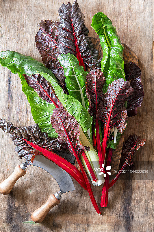 瑞士甜菜图片素材