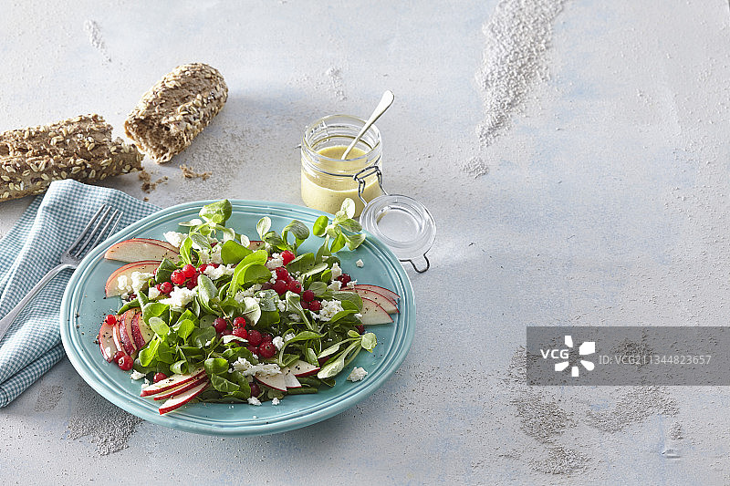 带有醋栗的色彩缤纷的夏日沙拉图片素材