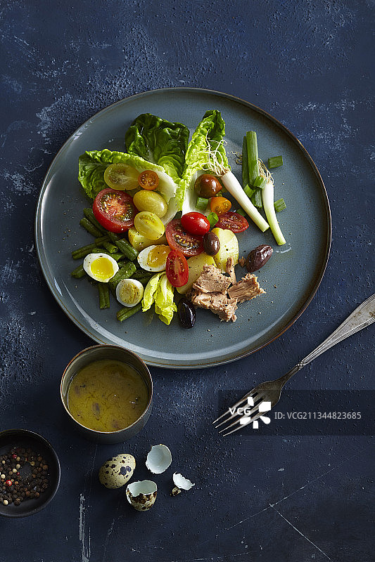 尼斯沙拉图片素材