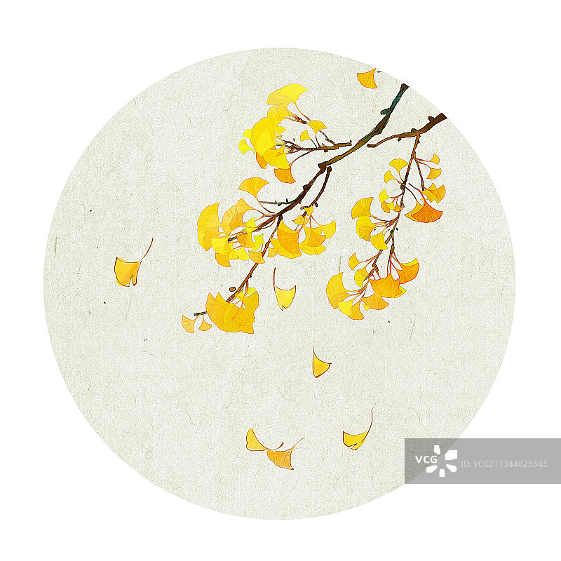 银杏水墨插画图片素材