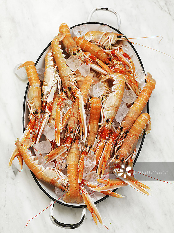 海螯虾图片素材