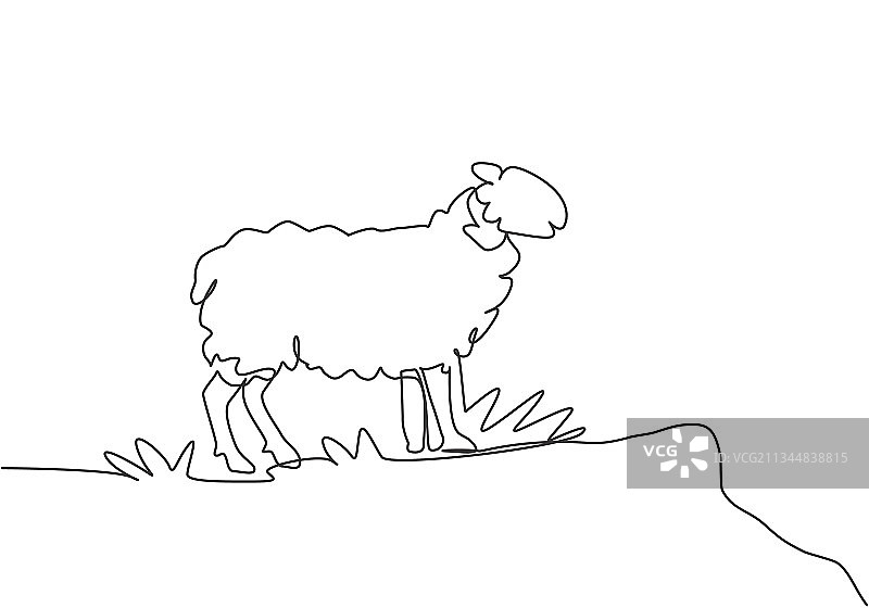 绵羊连续单线画图片素材