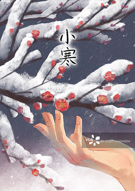 一只手触摸梅花图片素材