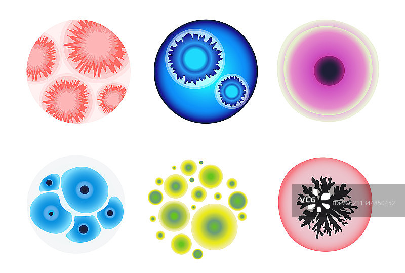 实验室显微镜下的模具图片素材