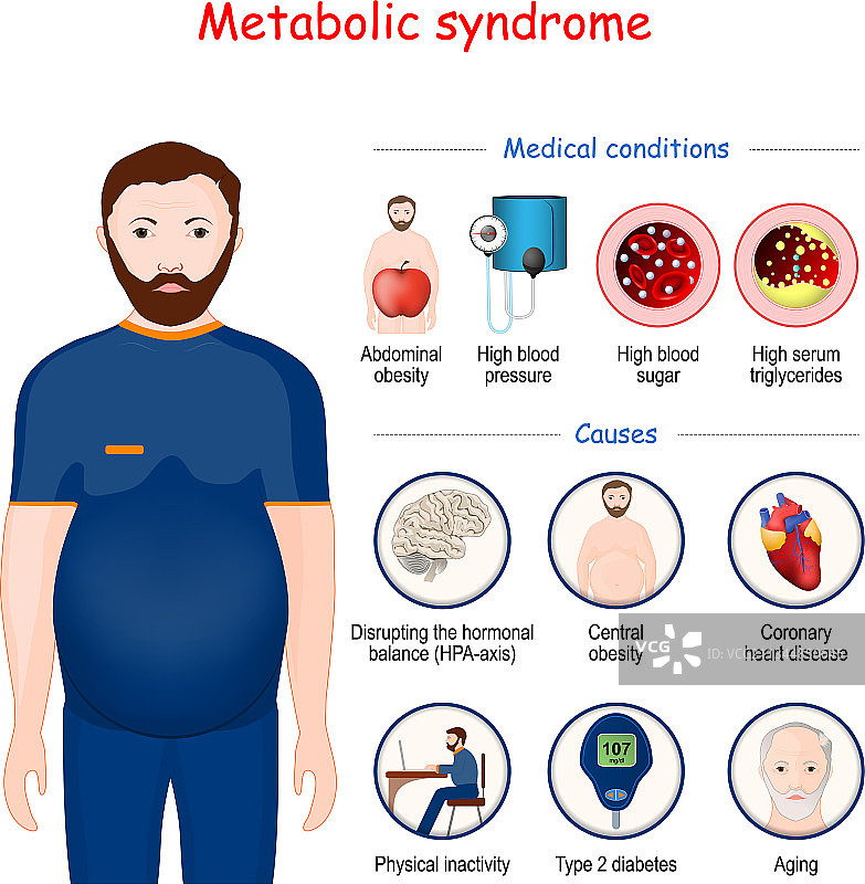 代谢综合征图片素材
