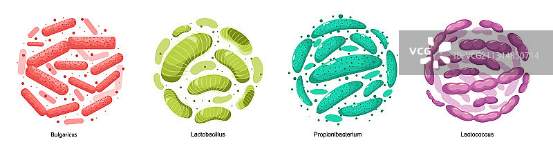 保加利亚乳杆菌益生菌素材图片素材