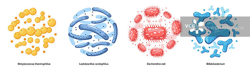 益生菌有益肠道微生物图片素材