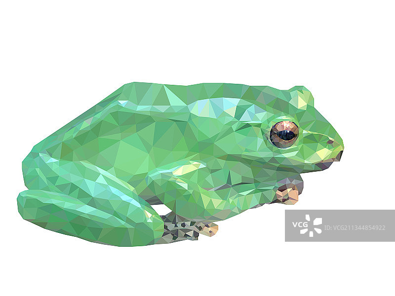 低多边形青蛙图片素材