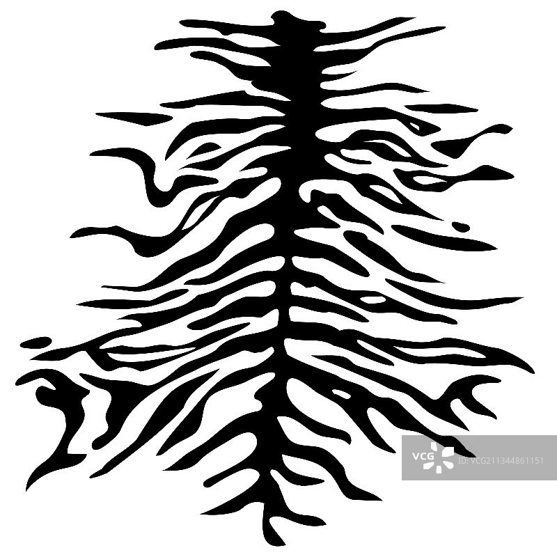 老虎皮上的条纹图片素材