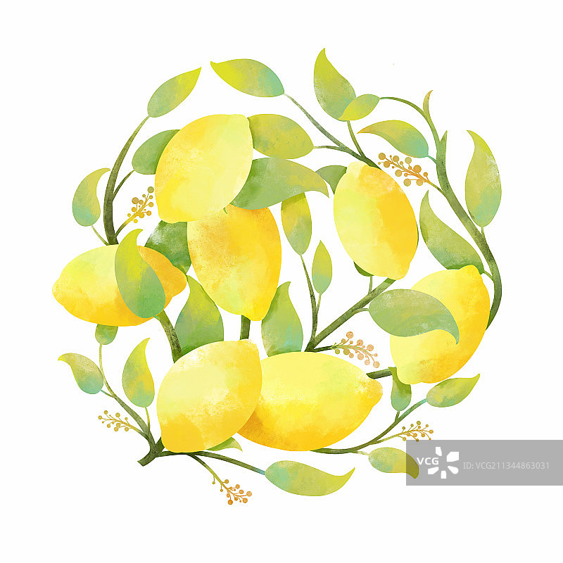 柠檬水彩包装插画图片素材