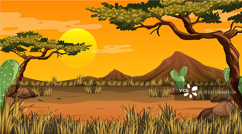 日落时分的沙漠森林景观图片素材