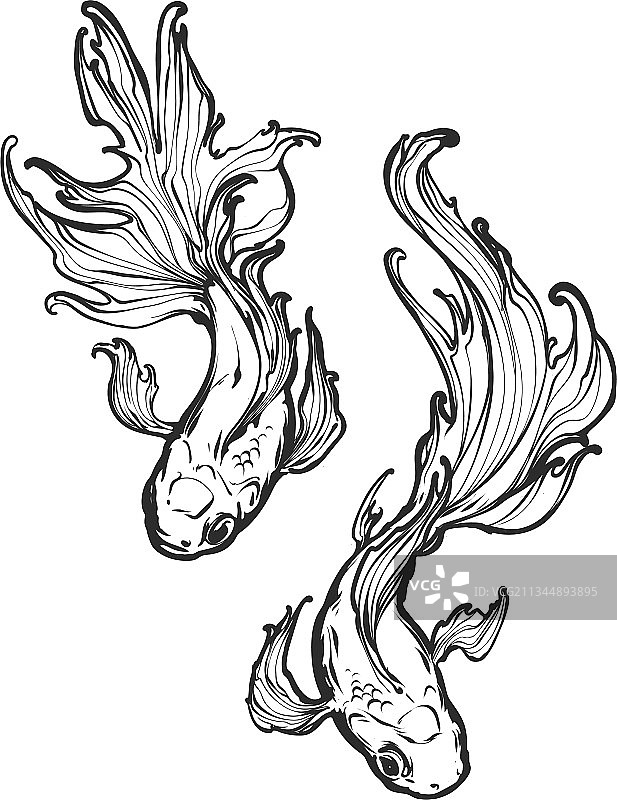 珊瑚中手绘金鱼线条艺术图片素材