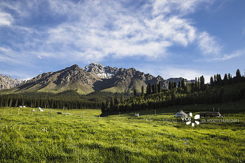 夏季牧场—S101 鹿角湾图片素材