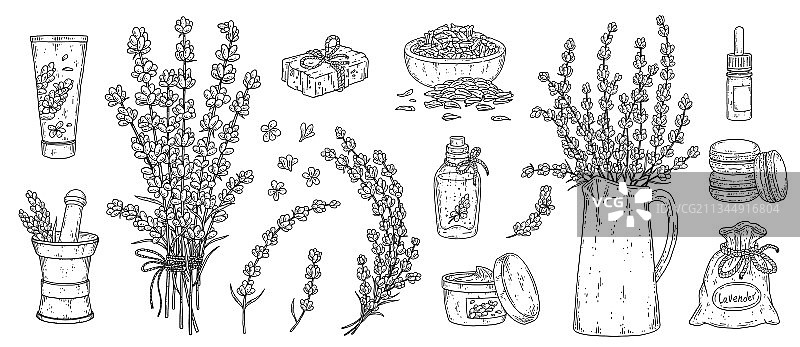 薰衣草套装：包含薰衣草枝条、花朵、种子和花草茶图片素材