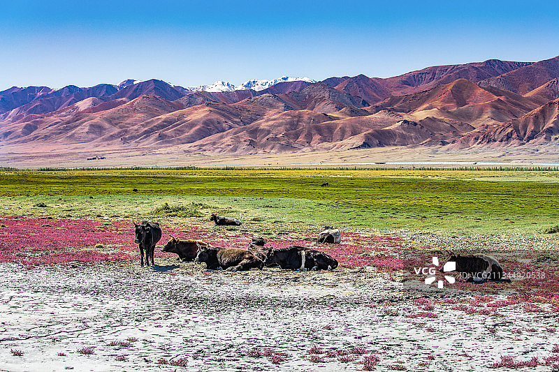 新疆哈密伊吾幻彩湖自然风光美景图片素材