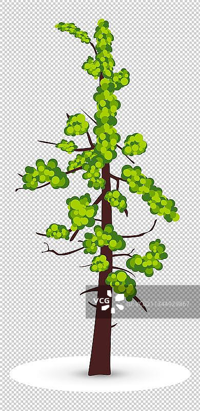 高清树木PNG图片图片素材