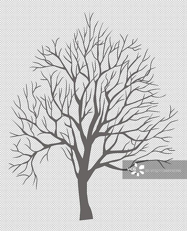 树干剪影图片素材