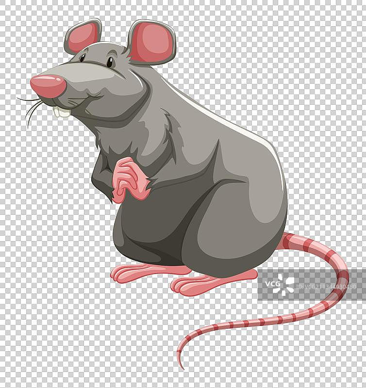 卡通灰色小老鼠图片素材