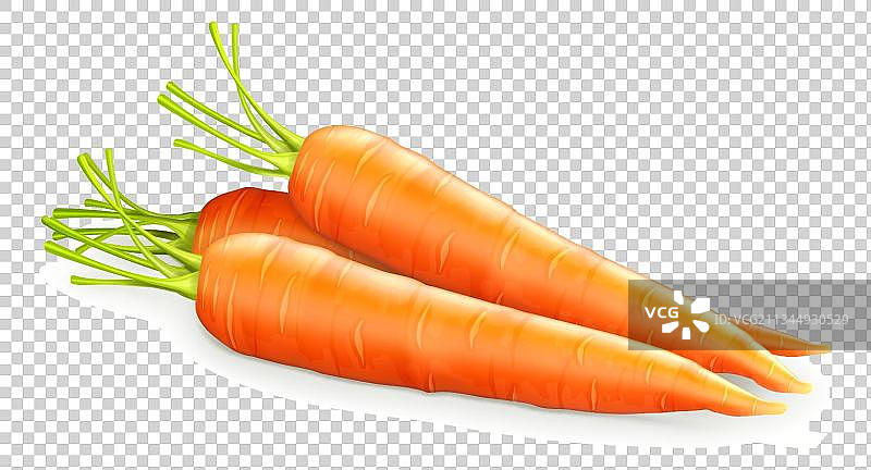 胡萝卜png免抠图图片素材