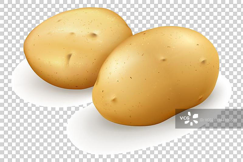 土豆png免抠图图片素材