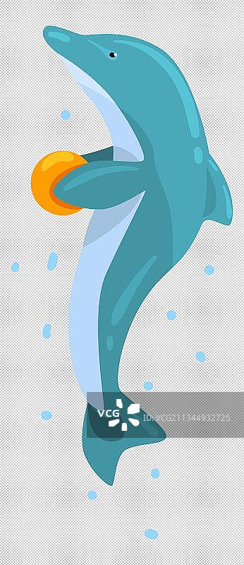 玩球的海豚免抠图图片素材