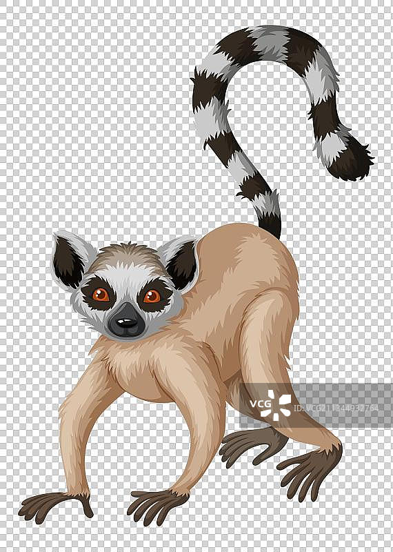 手绘卡通长尾狐猴图片素材