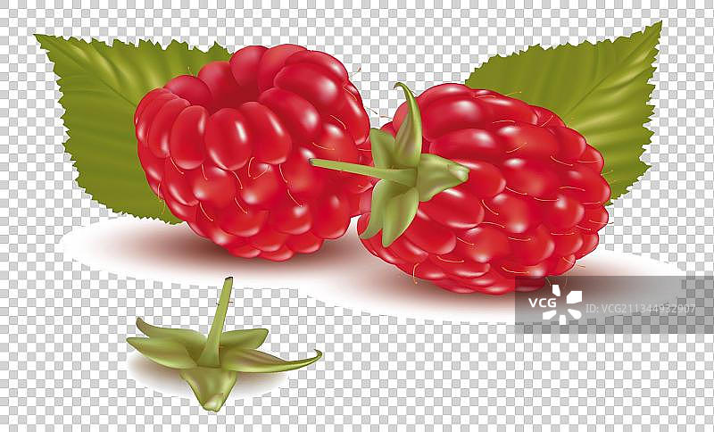 水果装饰元素-覆盆子图片素材