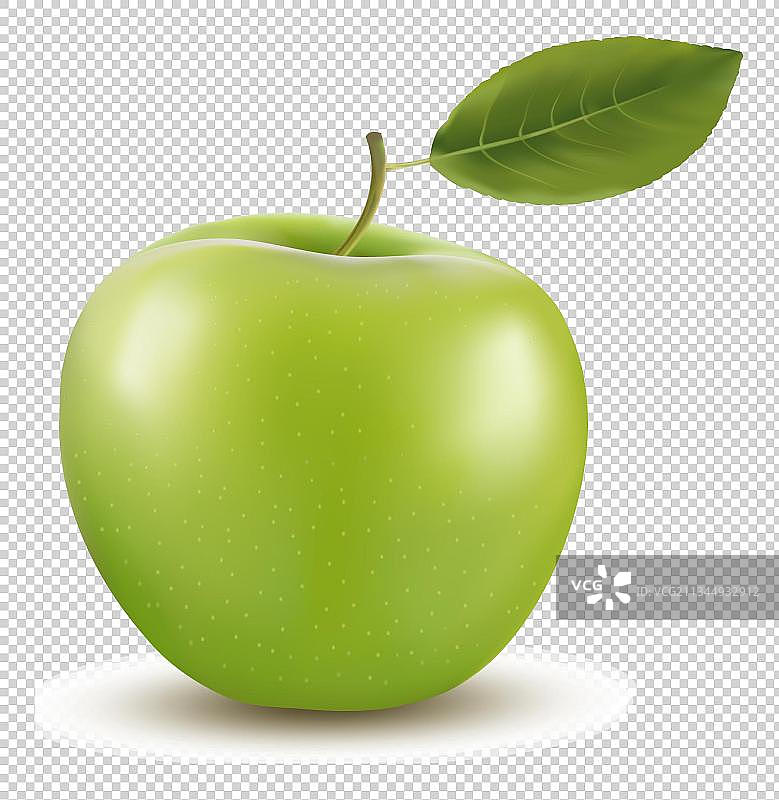 水果装饰元素-青苹果图片素材