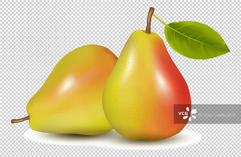 水果装饰元素-梨子图片素材