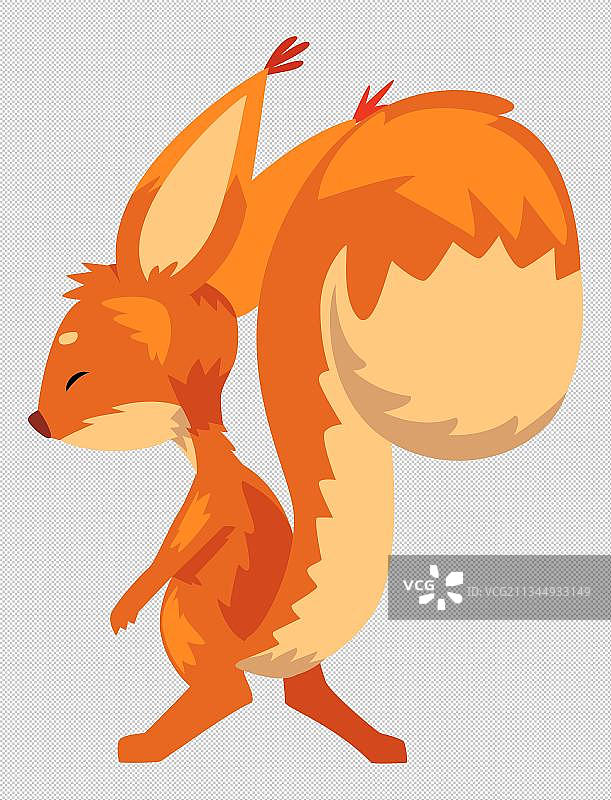 手绘小动物松鼠背面插画图片素材