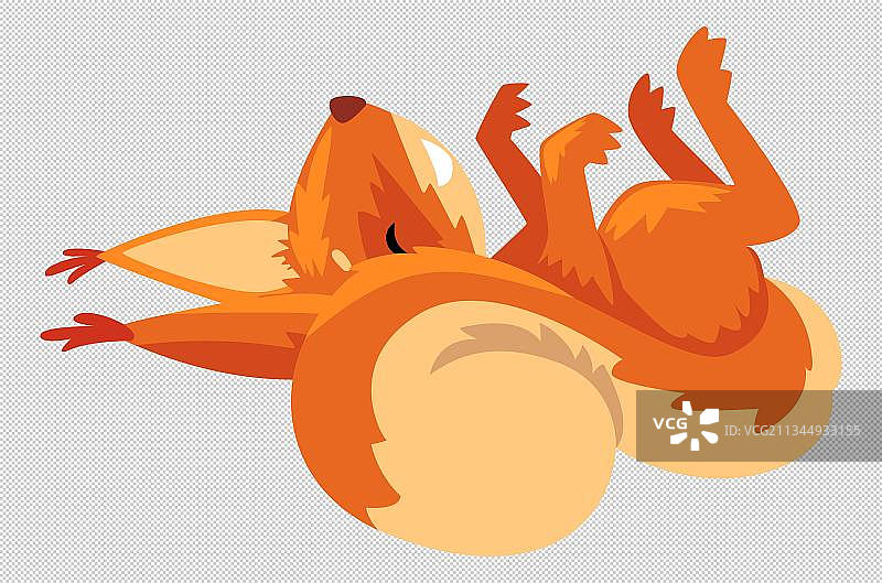 手绘四脚朝天的松鼠插画图片素材