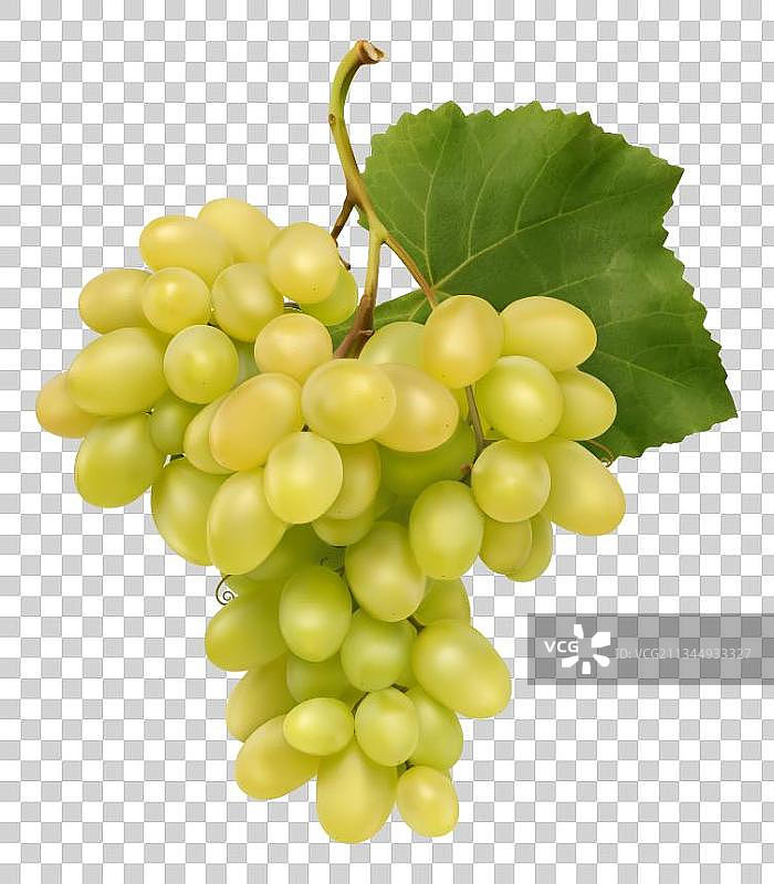 卡通提子葡萄图片素材