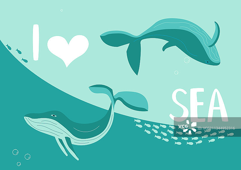 水下双鲸场景图片素材