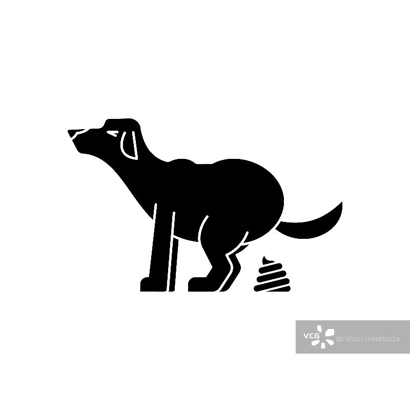 宠物狗的粪便图片素材