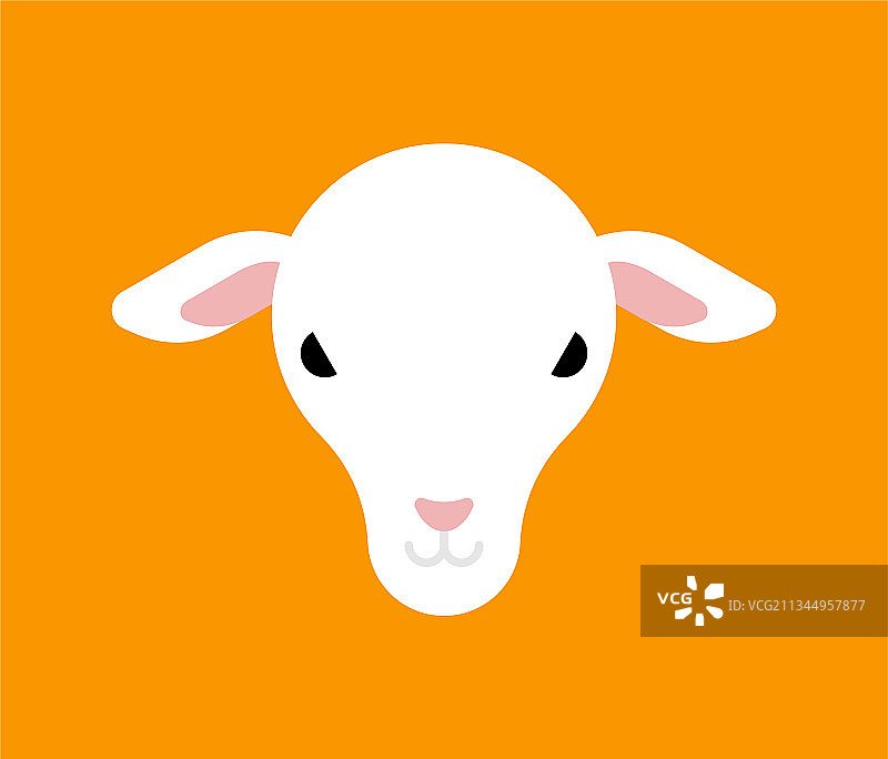绵羊头特写图片素材