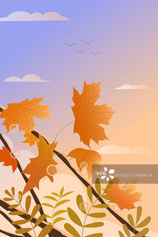 秋天叶子白露霜降节气矢量海报插画图片素材