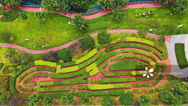植物迷宫图片素材