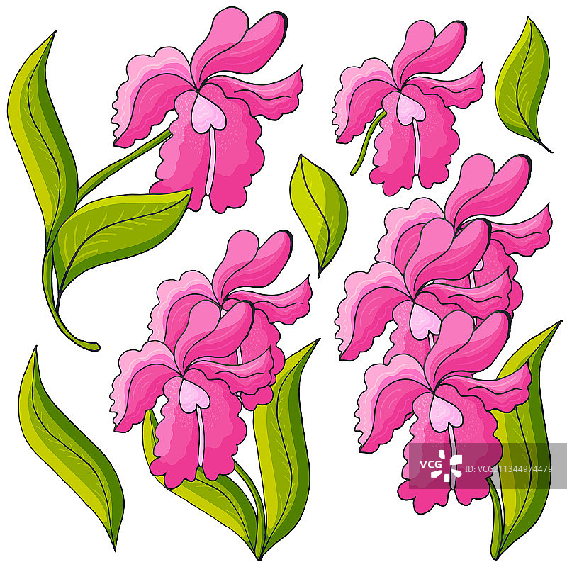 手绘风格花卉图片素材