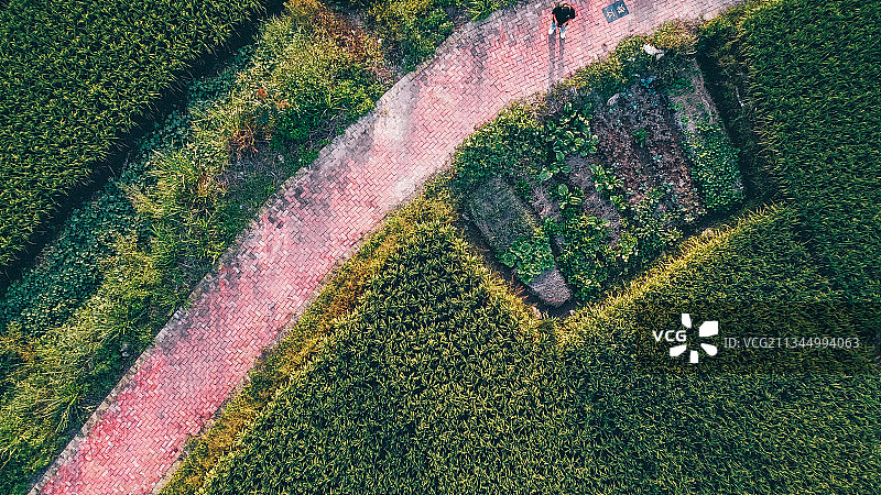 航拍泉州市洛江区马甲镇仰恩大学校园风景图片素材