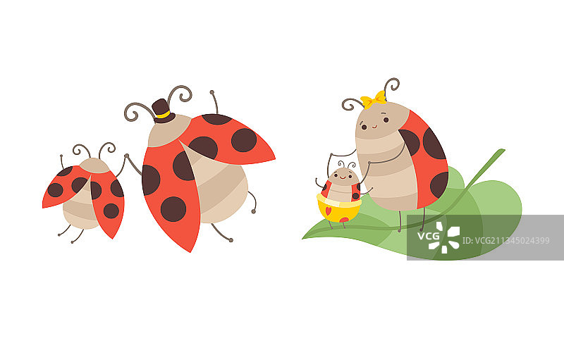 瓢虫家庭昆虫亲子套装图片素材