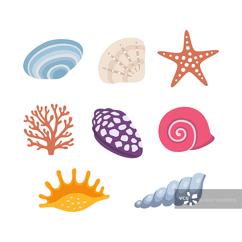 水下彩色热带贝壳图标合集图片素材