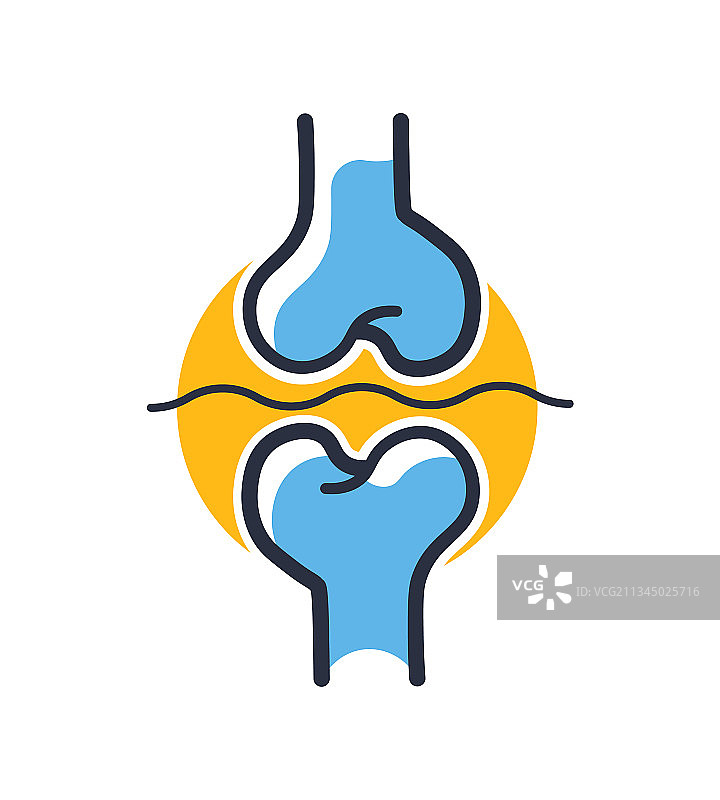 白色背景上的人体骨骼关节图片素材