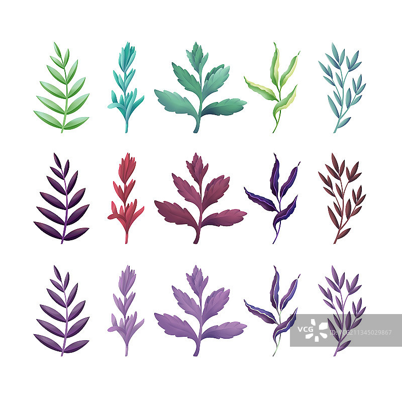 各种树叶设计图案合集图片素材